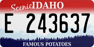 ID license plate E243637