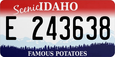 ID license plate E243638