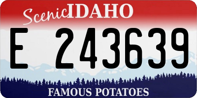 ID license plate E243639