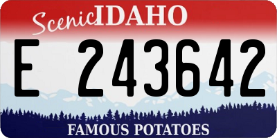 ID license plate E243642