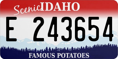ID license plate E243654