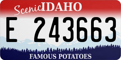 ID license plate E243663