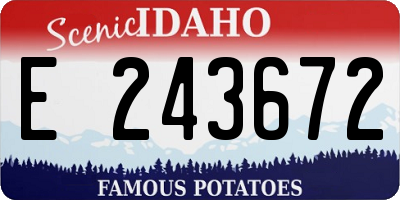 ID license plate E243672