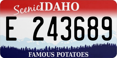 ID license plate E243689