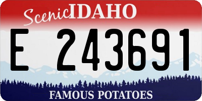 ID license plate E243691