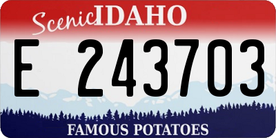 ID license plate E243703