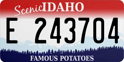 ID license plate E243704