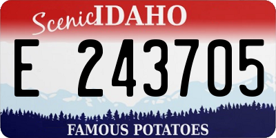 ID license plate E243705