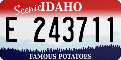 ID license plate E243711