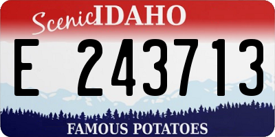 ID license plate E243713