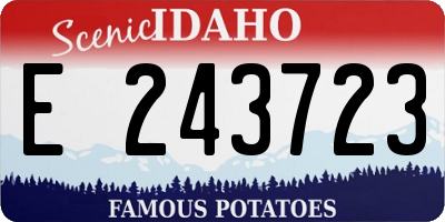 ID license plate E243723