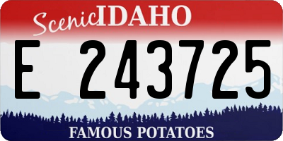 ID license plate E243725