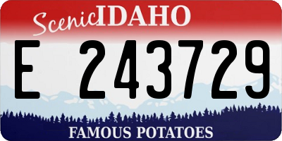 ID license plate E243729