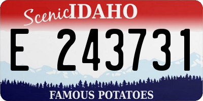 ID license plate E243731