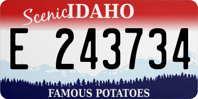 ID license plate E243734