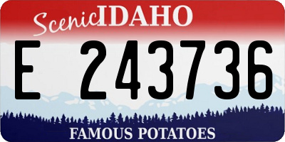 ID license plate E243736