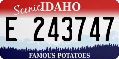 ID license plate E243747