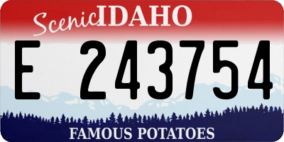 ID license plate E243754