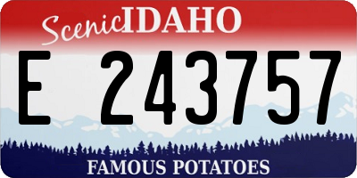 ID license plate E243757
