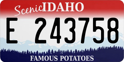 ID license plate E243758
