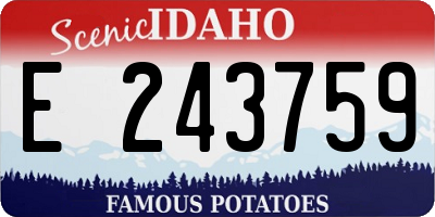 ID license plate E243759