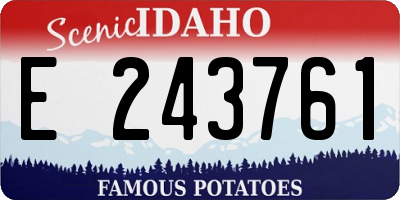 ID license plate E243761