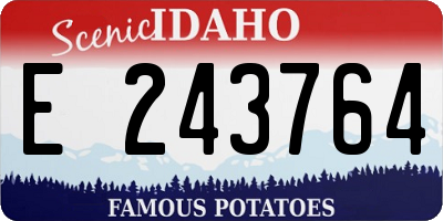 ID license plate E243764