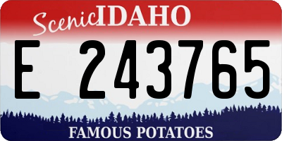 ID license plate E243765