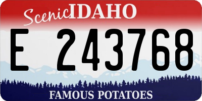 ID license plate E243768