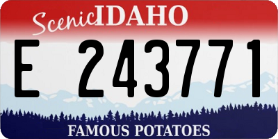 ID license plate E243771