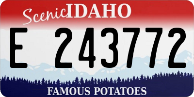 ID license plate E243772