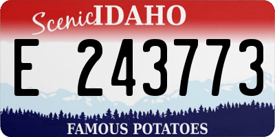 ID license plate E243773
