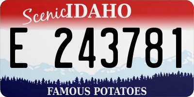 ID license plate E243781
