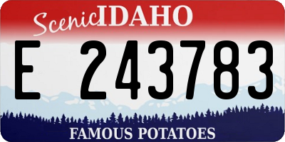 ID license plate E243783