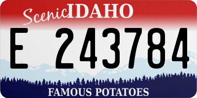 ID license plate E243784