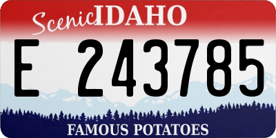 ID license plate E243785