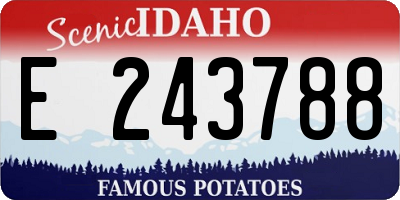 ID license plate E243788