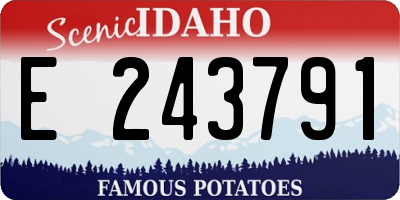 ID license plate E243791