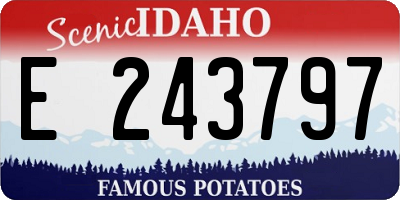 ID license plate E243797
