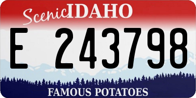 ID license plate E243798
