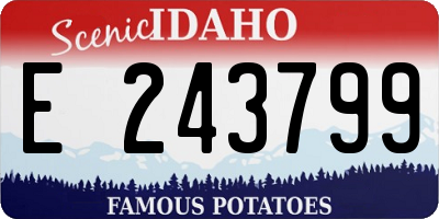 ID license plate E243799