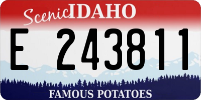 ID license plate E243811