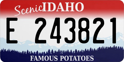 ID license plate E243821