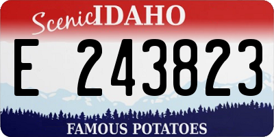 ID license plate E243823