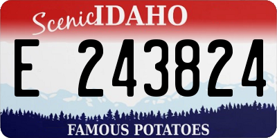 ID license plate E243824
