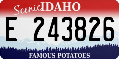 ID license plate E243826