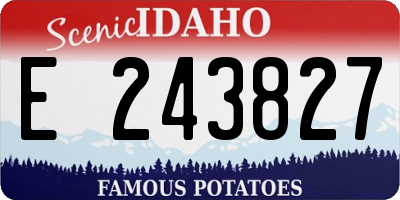 ID license plate E243827