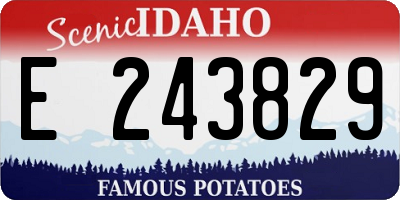 ID license plate E243829