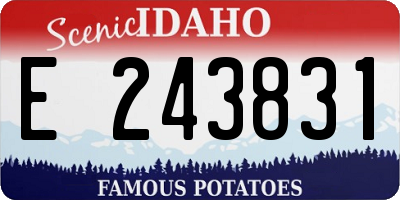 ID license plate E243831