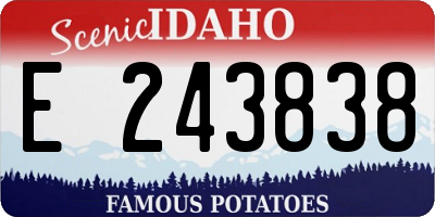 ID license plate E243838